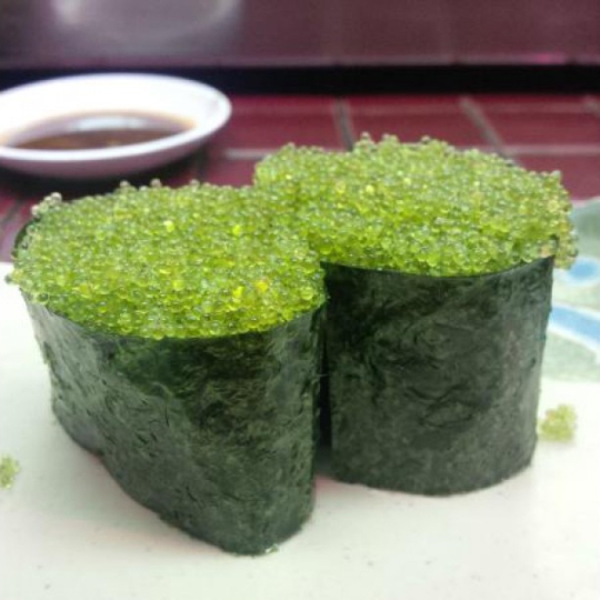 SUSHI TRỨNG TÔM